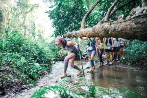 BIB: 
                            <button type="button" onclick="openModal(25467304)" class="btn btn-primary btn-sm float-right btn-popup" data-toggle="modal" data-target=".modal-high-quality">
                        <i class="fas fa-shopping-cart"></i> Add to Cart
                    </button>
                                            <button type="button" onclick="isThisMe(25467304, true)" class="btn btn-success btn-sm float-right btn-popup btn-isme hidden" data-toggle="tooltip" data-placement="bottom" title="นี่คือรูปของคุณใช่ไหม คลิกที่นี่เพื่อเอาเข้าอัลบั้ม">
                        <i class="fas fa-plus"></i> Add to album
                    </button>
                    <button type="button" onclick="isThisMe(25467304, false)" class="btn btn-warning btn-sm float-right btn-popup btn-isnotme hidden">
                        <i class="fas fa-ban"></i> Remove from album
                    </button>